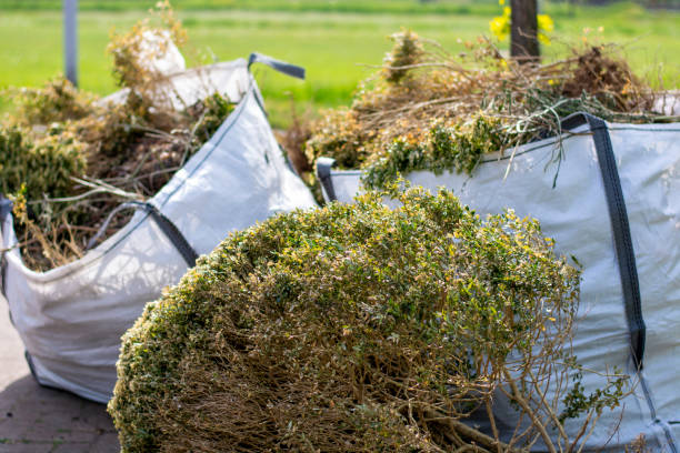 Best Basement Cleanout Services  in Stevenson, AL